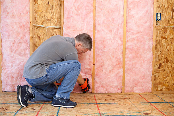 Best Insulation Repair Services  in USA